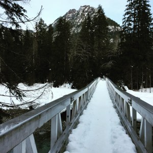 Alternatively, escape into the woods. 